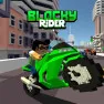 Blocky Rider