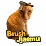 Brush Jjaemu