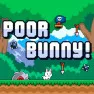 Poor Bunny