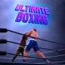 Ultimate Boxing
